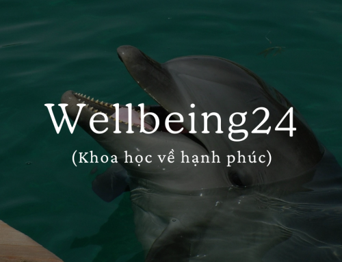 Wellbeing24