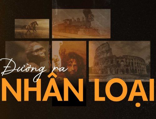 Đường ra nhân loại